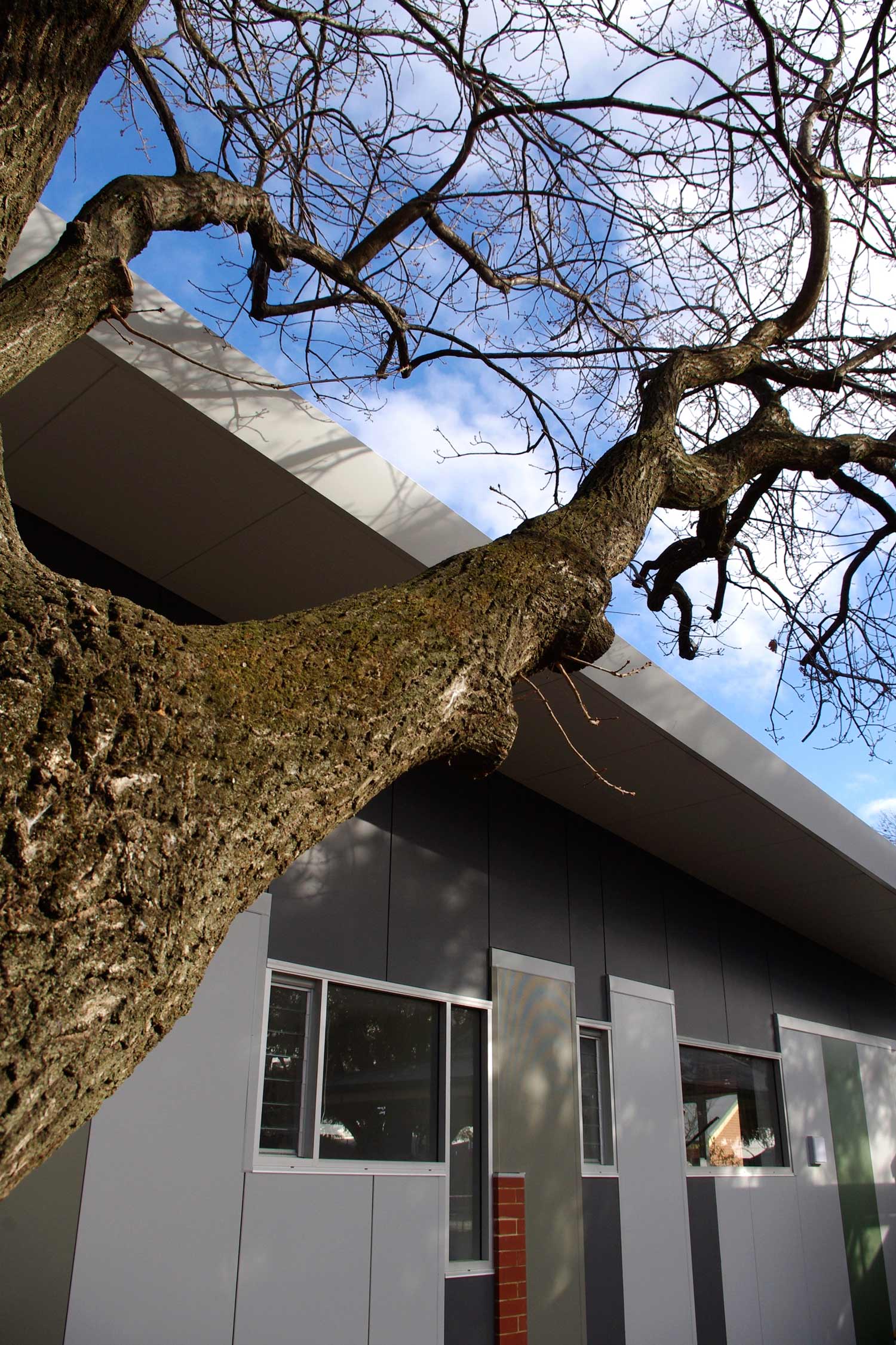 Trinity Gardens Primary School #khabarchitects #stemprogram #adelaidehouse #awardwinningarchitecture #architect #architecturelovers #architect #architecturephotography #architectureporn #architects #architectural #architecturelover #architecturestudent #architecturalphotography #architecturedesign #architectanddesign #architecturephoto #architecturaldesign #architectureschool #architecturaldigest #architecturesketch #architecturemodel #architectura #Architecte #architecturelife #architecturegram #architectureandpeople #architecturelove #architecturedaily #buildings #adlarchigram #courtyardhouse @adelaide_photographer #pressedtin #naturaltimber #dulux #duluxcolour #adelaide #khabarchitects #adelaidehouse #awardwinningarchitecture #TrinityGardens #PrimarySchool #TrinityGardensPrimarySchool #school #stem