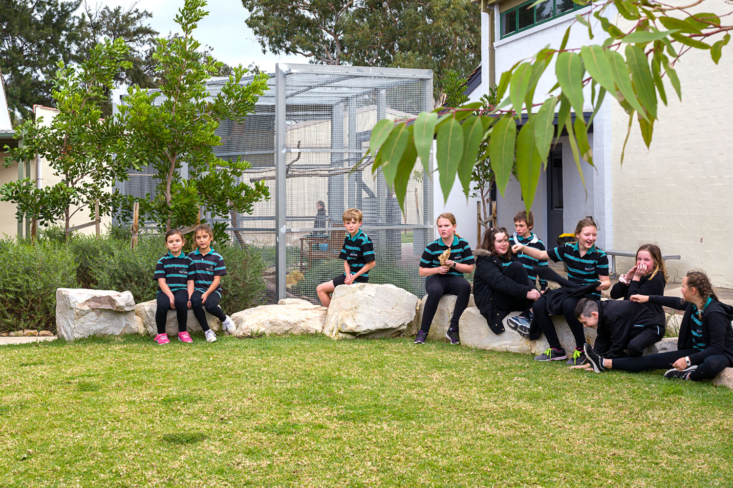  Photographer: Andrea Jacob  #khabarchitects #stemprogram #steamprogram #adelaidehouse #awardwinningarchitecture  #architect #architecturelovers #architect #architecturephotography #architectureporn #architects #architectural #architecturelover #architecturestudent #architecturalphotography #architecturedesign #architectanddesign #architecturephoto #architecturaldesign #architectureschool #architecturaldigest #architecturesketch #architecturemodel #architectura #Architecte #architecturelife #architecturegram #architectureandpeople #architecturelove #architecturedaily #buildings #adlarchigram #courtyardhouse @adelaide_photographer #pressedtin #naturaltimber #dulux #duluxcolour #adelaide #khabarchitects #adelaidehouse #awardwinningarchitecture #flaxmill #FlaxmillPrimarySchool #school #stem #steam 