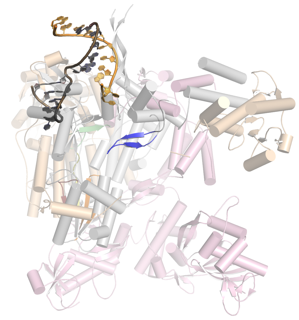 priming loop side.jpg