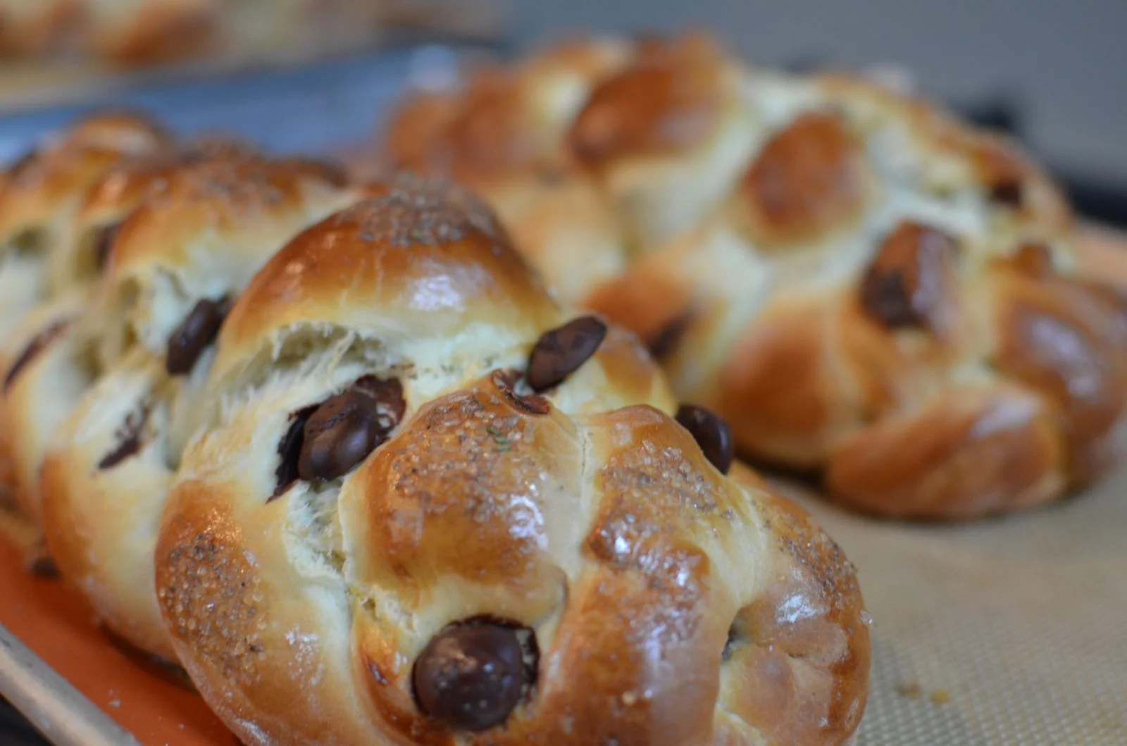 Gourmet Challah