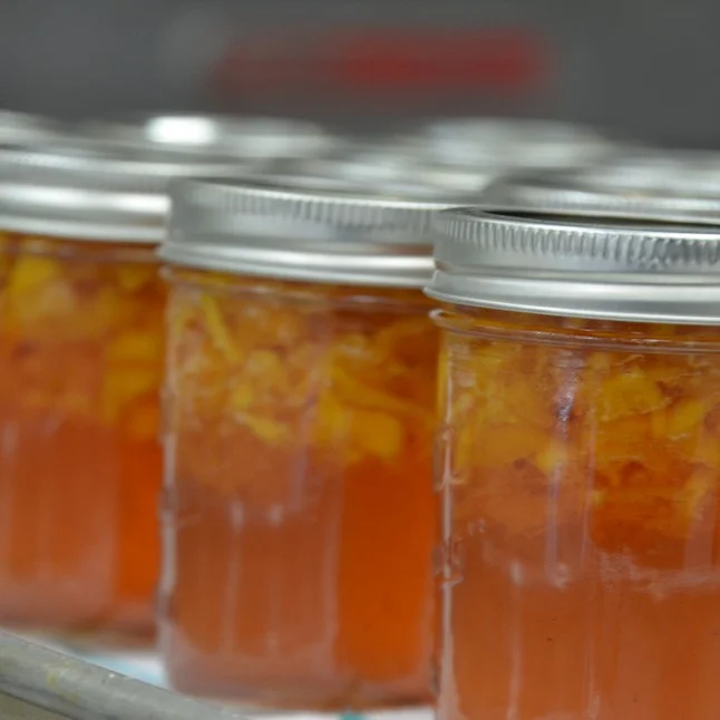 Family: Preserving the Season