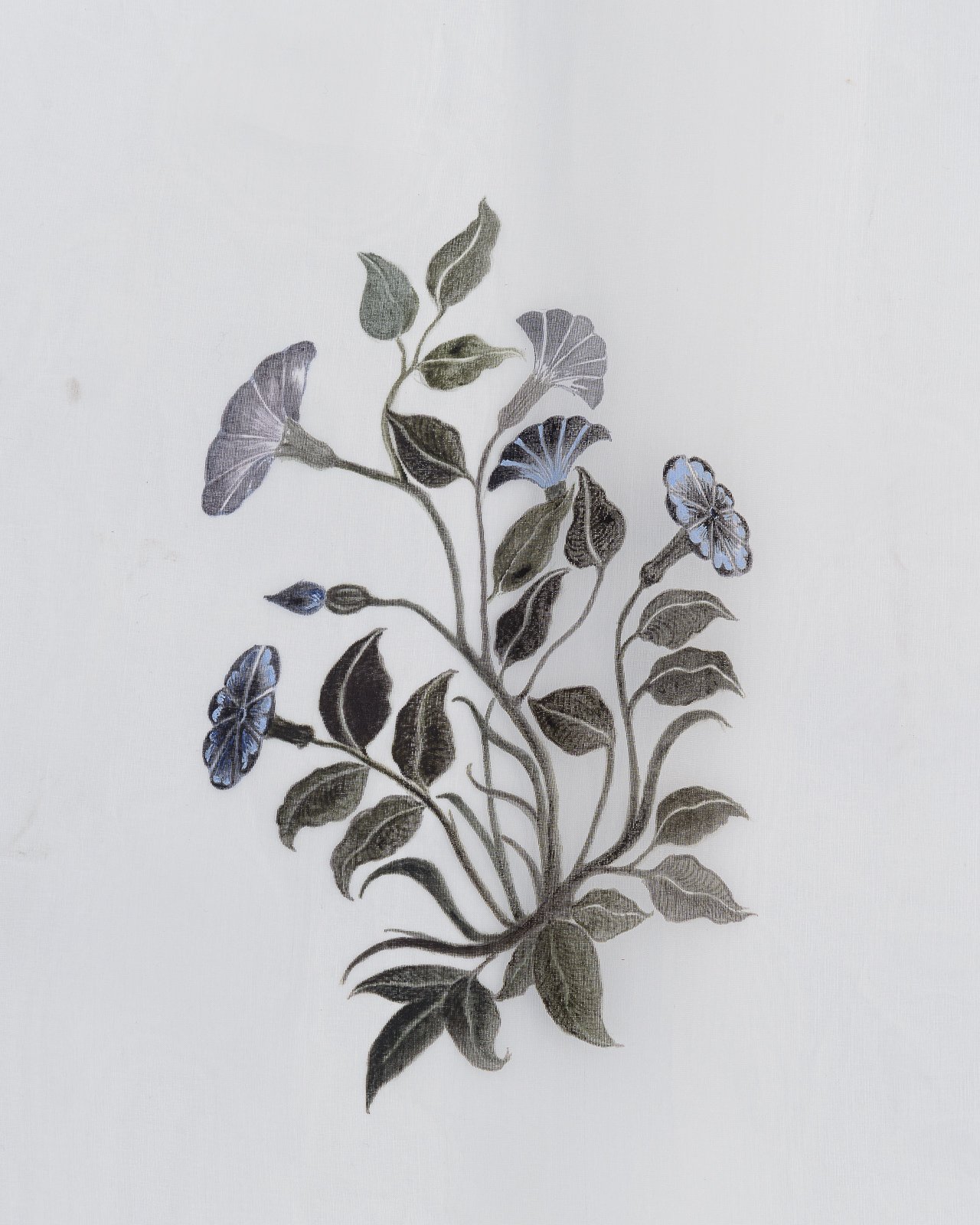 NKN_3914_WEB - photo © Gregory Copitet.JPG