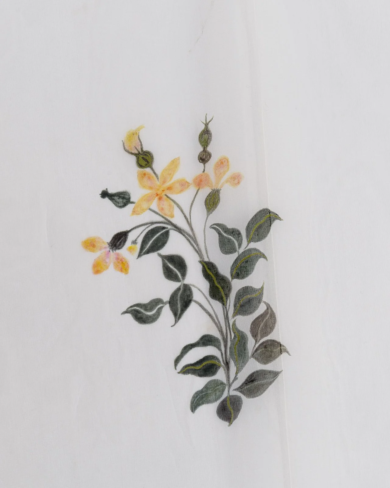 NKN_3923_WEB - photo © Gregory Copitet.JPG