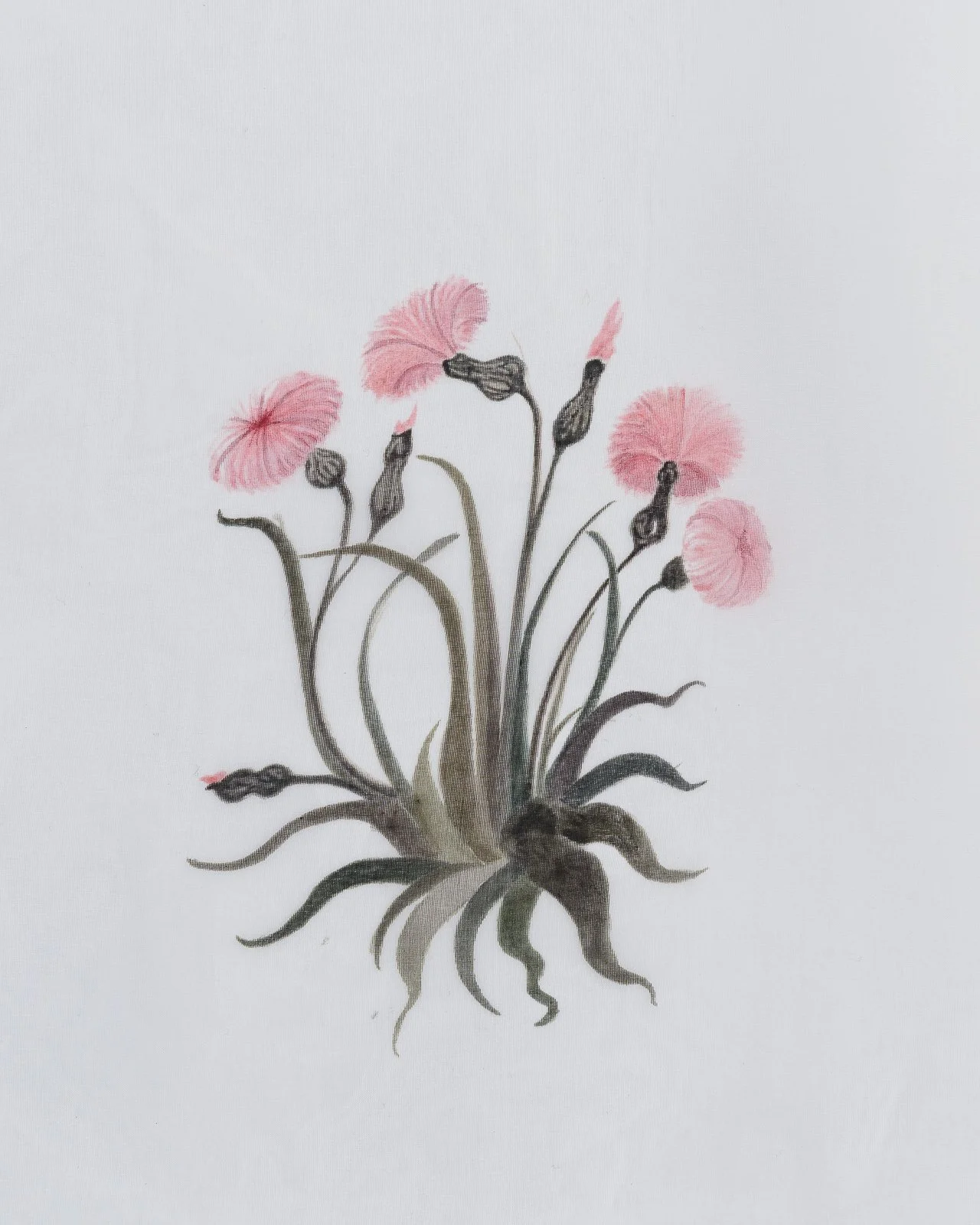 NKN_3915_WEB - photo © Gregory Copitet.JPG