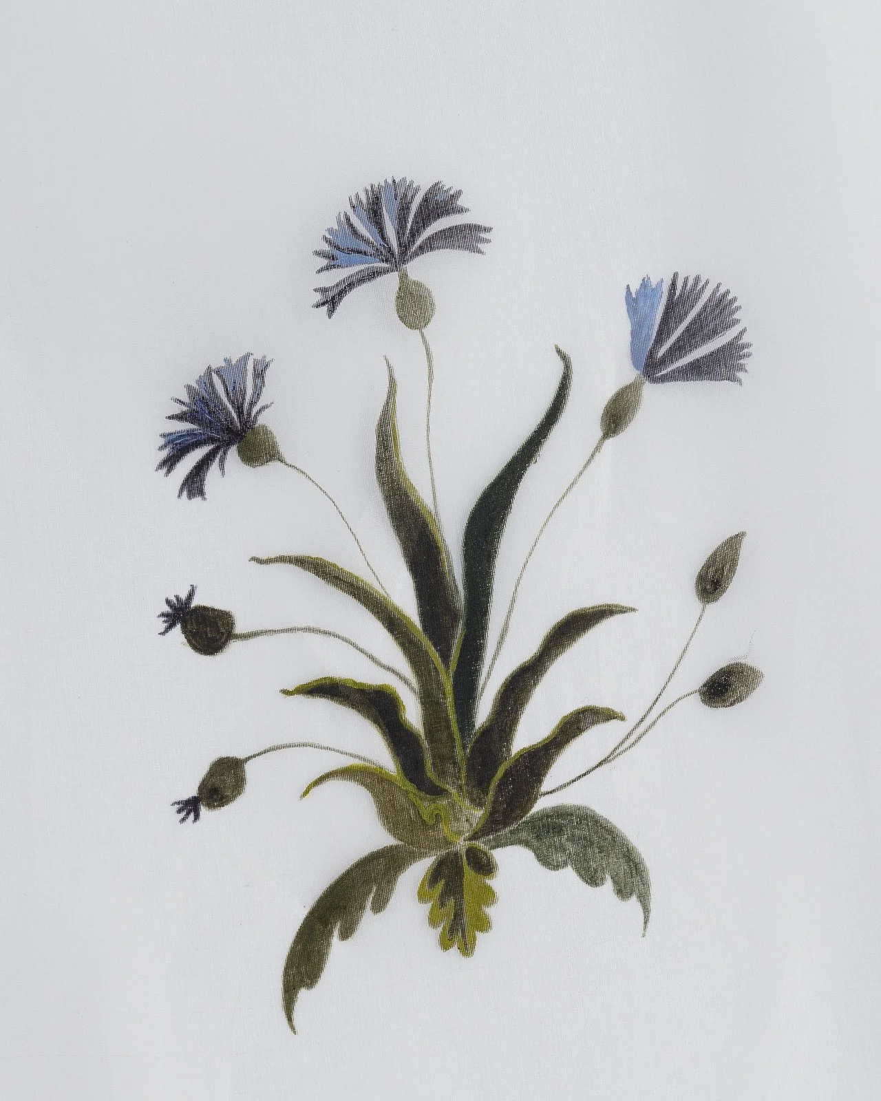 NKN_3928_WEB - photo © Gregory Copitet.JPG