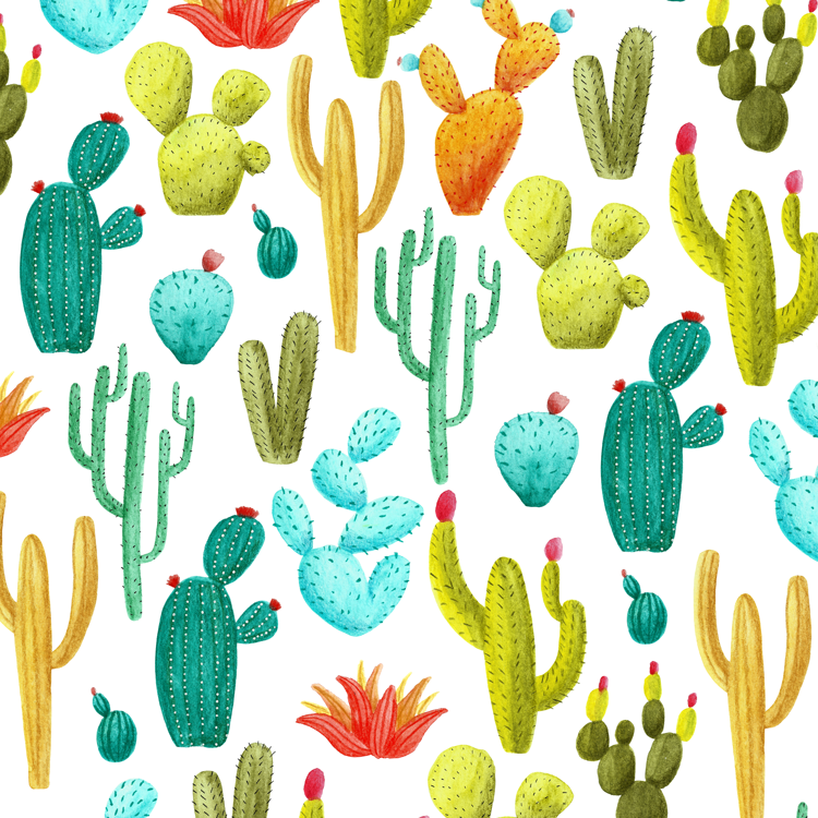 portfolio-CACTUS-pattern-somebodyelsa.png