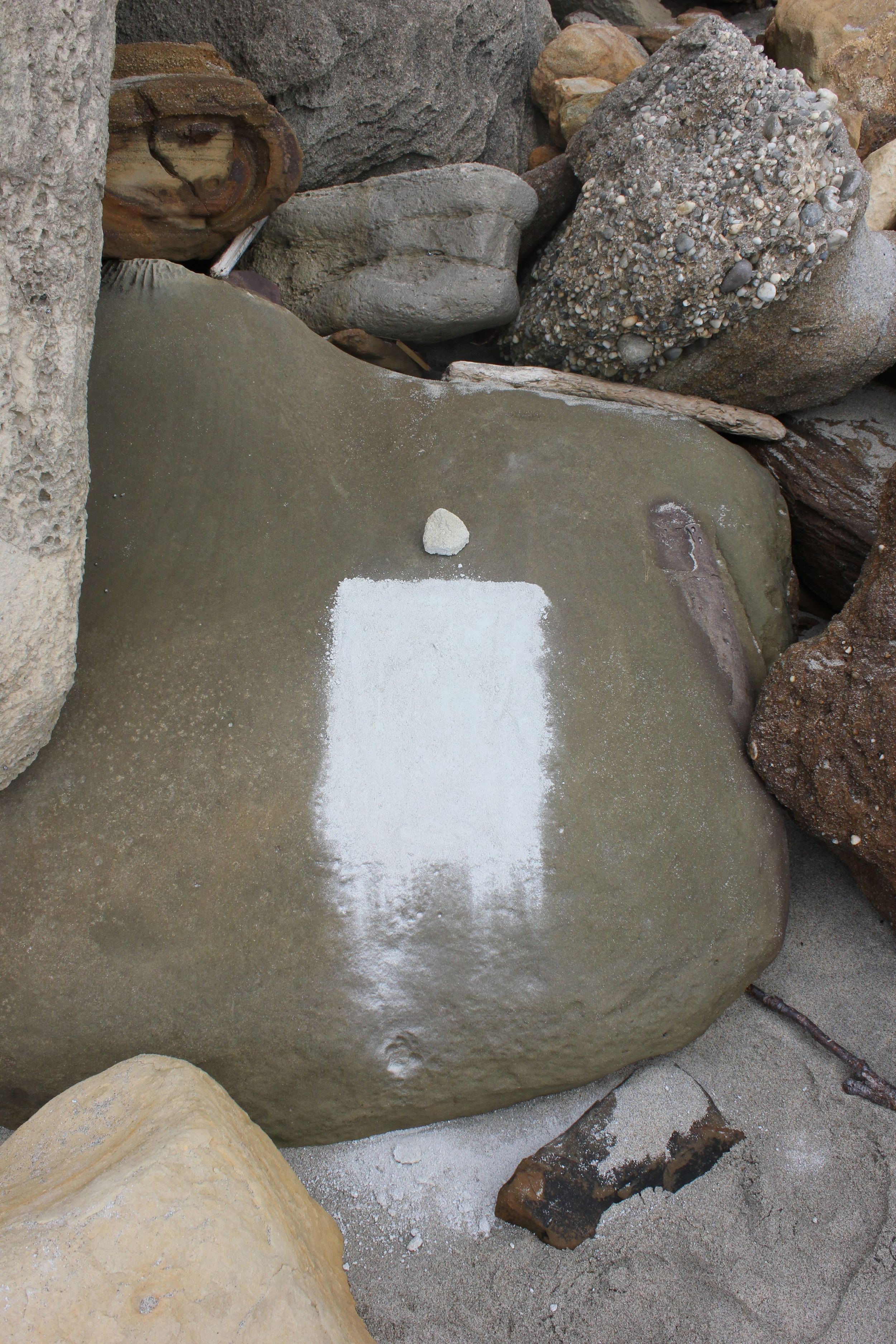 Turtle Cove II 2016