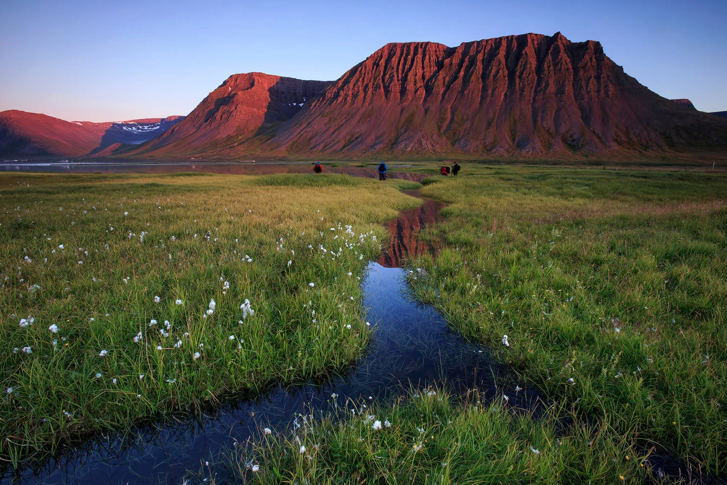 In groep in de West Fjorden (IJsland)