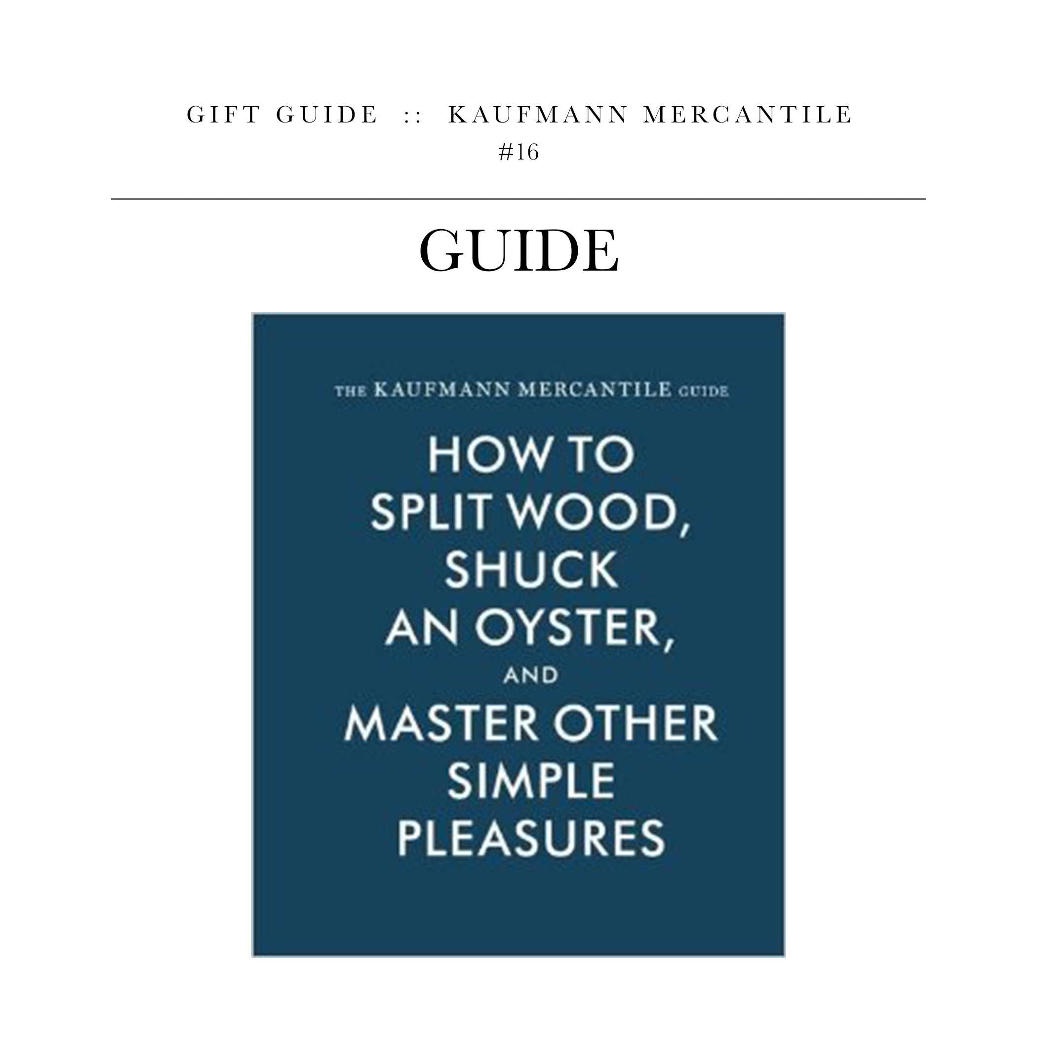 The Kaufmann Mercantile Guide via Alexandra Redgrave // For the guy who has it all, but it still tragically sheltered from the world outside his window.