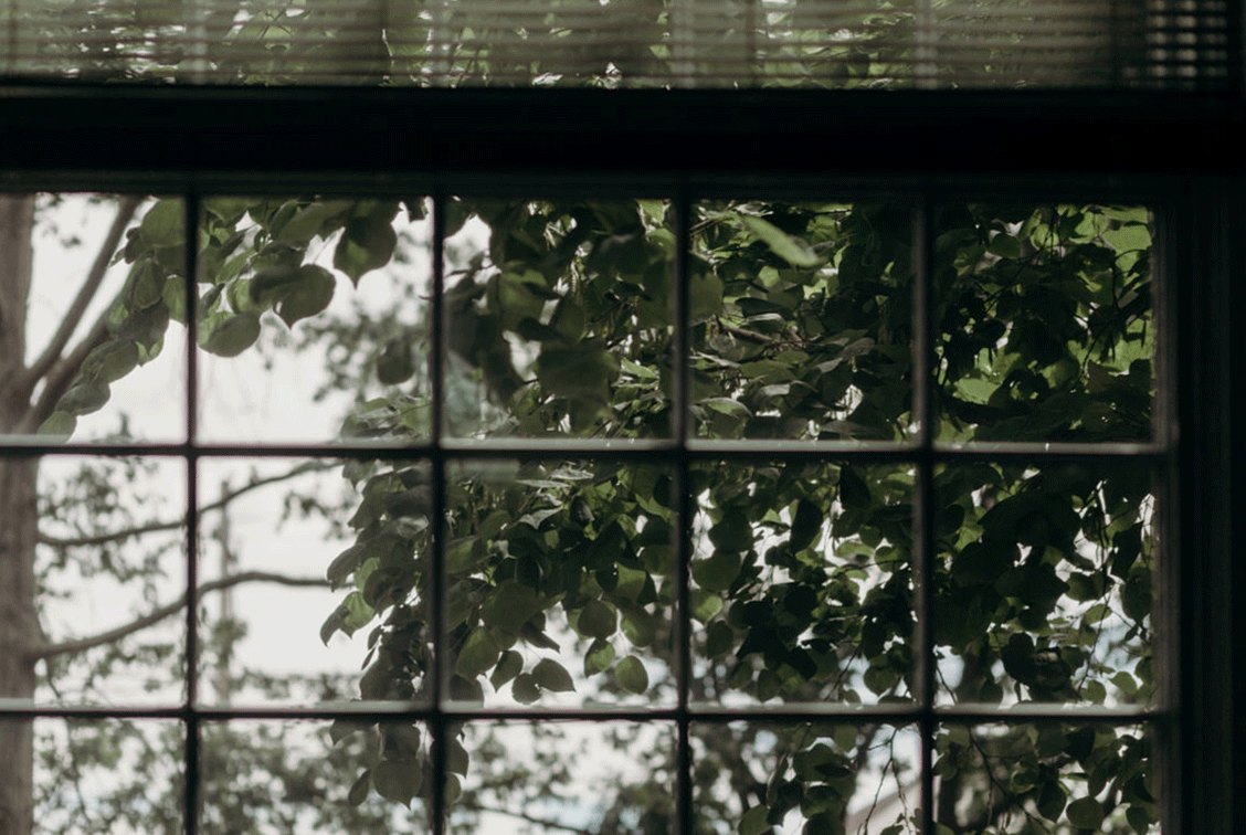 K+E_2.gif