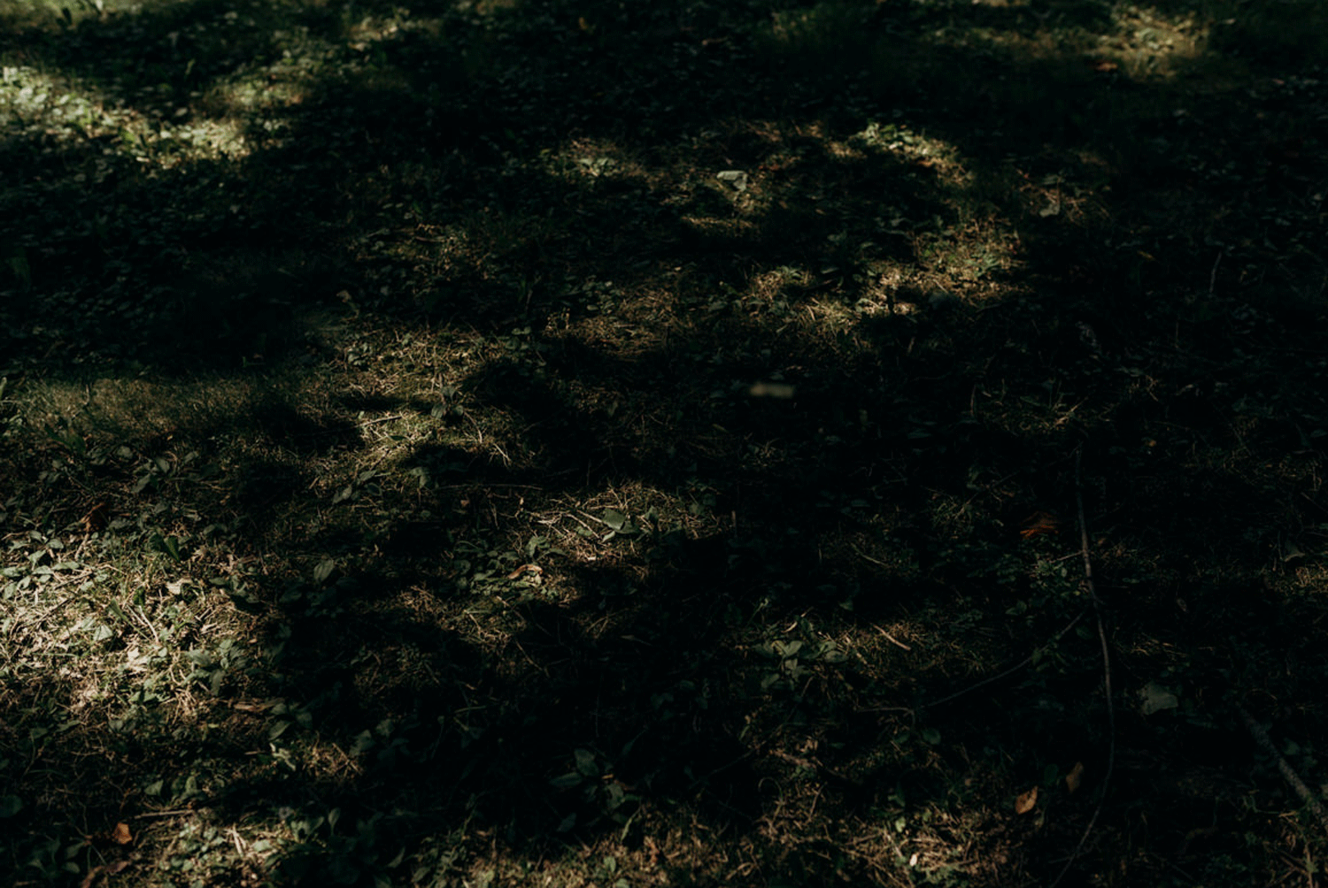 K+E_10.gif