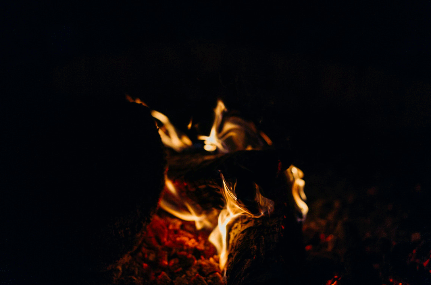 K+E_22.gif