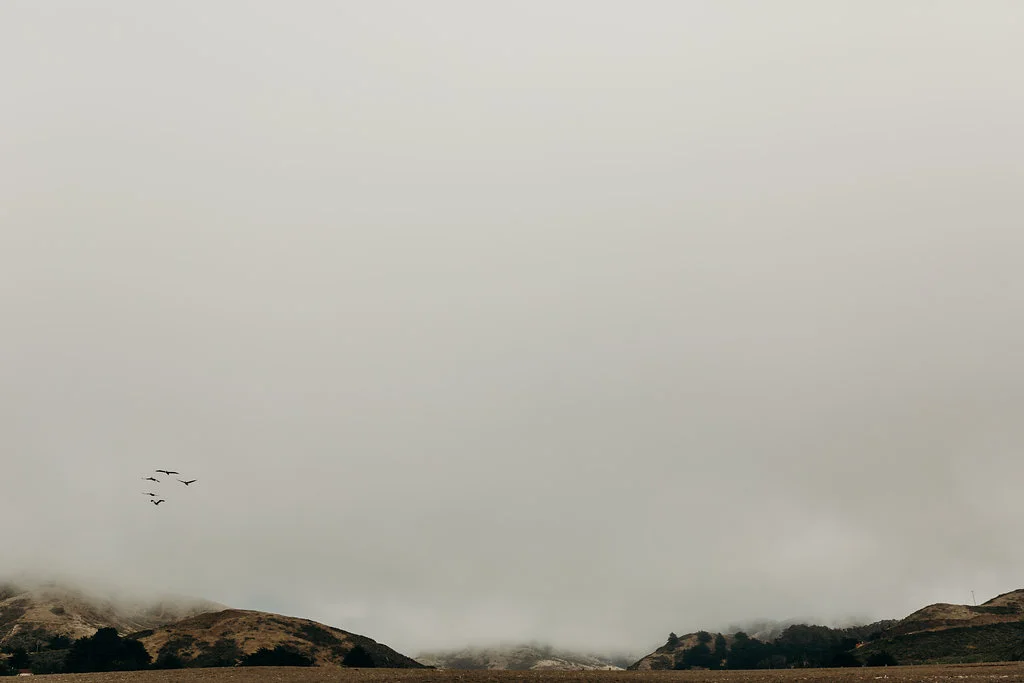 California-182.jpg