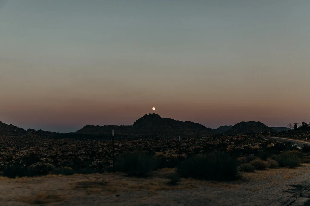 California-972.jpg