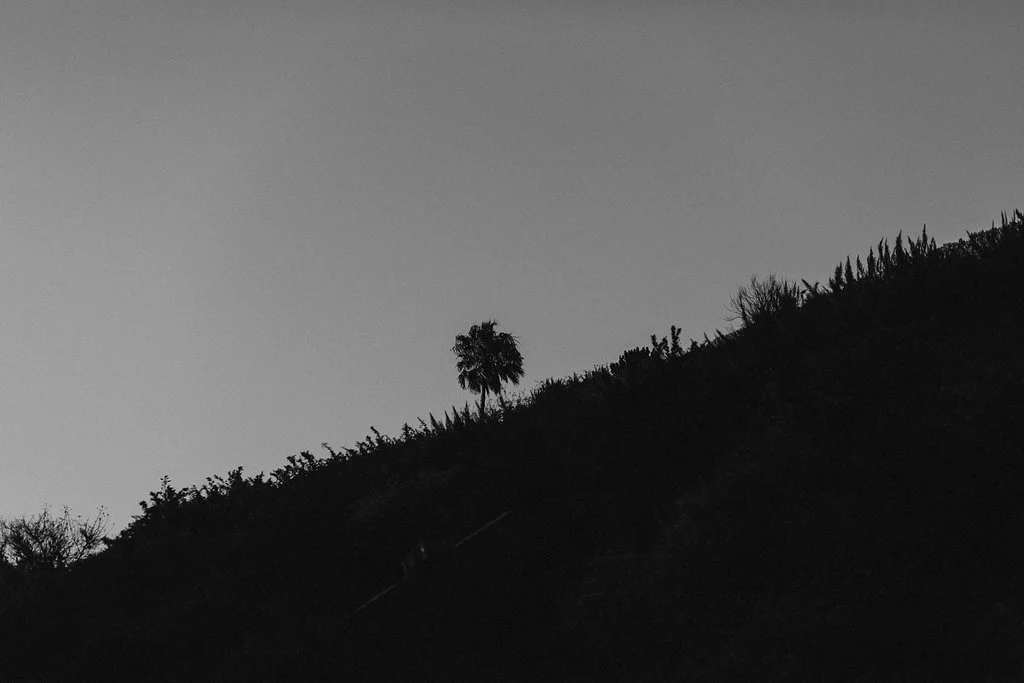 California-1039.jpg