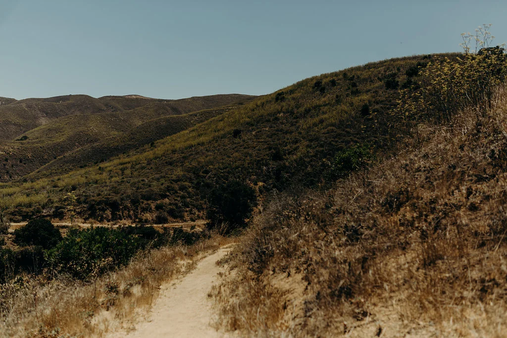 California-1110.jpg