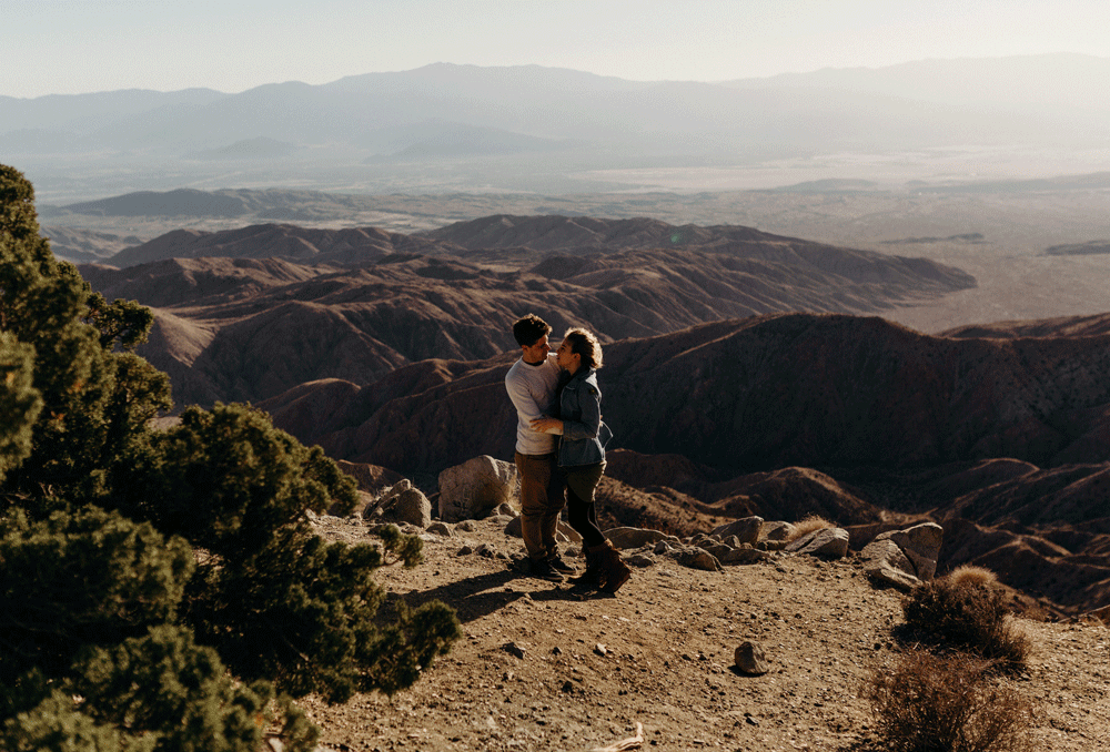 JOSHUATREE_06.gif