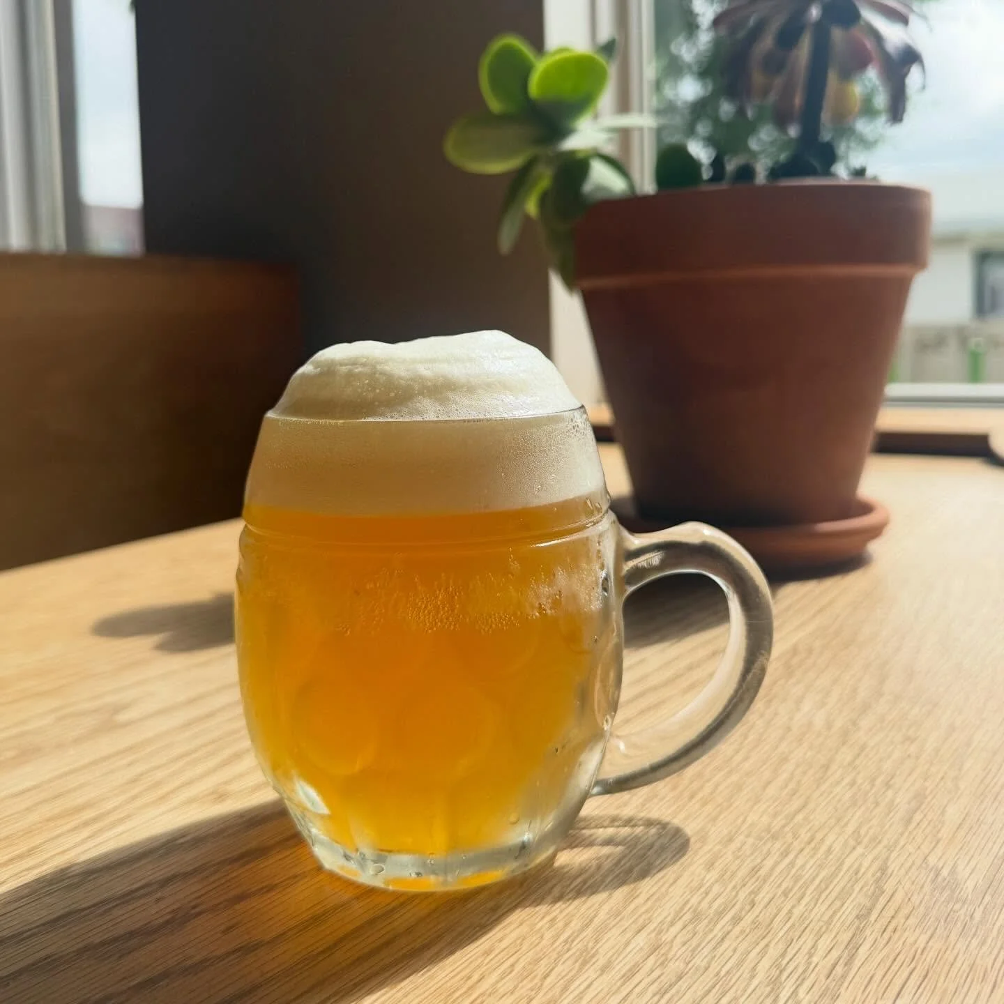 Today we are releasing SITUATIONAL GRAVITY.

SITUATIONAL GRAVITY is a Czech Pale Lager with Premiant &amp; Saaz. 

*Bonus Releases*

MANTRA is our favorite Pale Ale and we have a fresh batch on tap.

GOODBYE BREAD our Gold Medal winning Specialty Sai