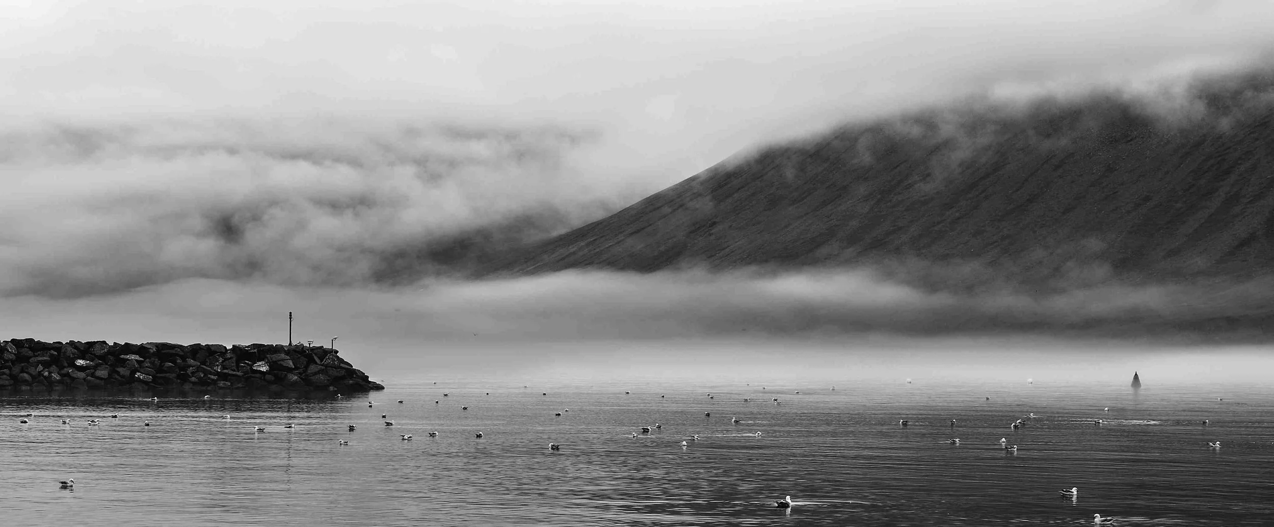 _DSC0579.jpg