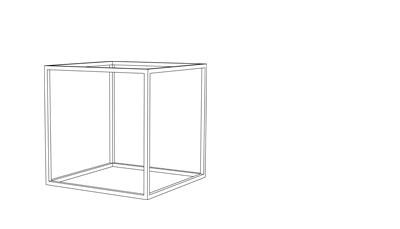 Cage_2.jpg