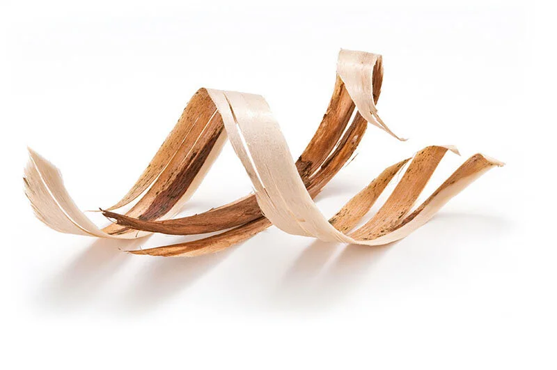 Wood_Shaving_2.jpg