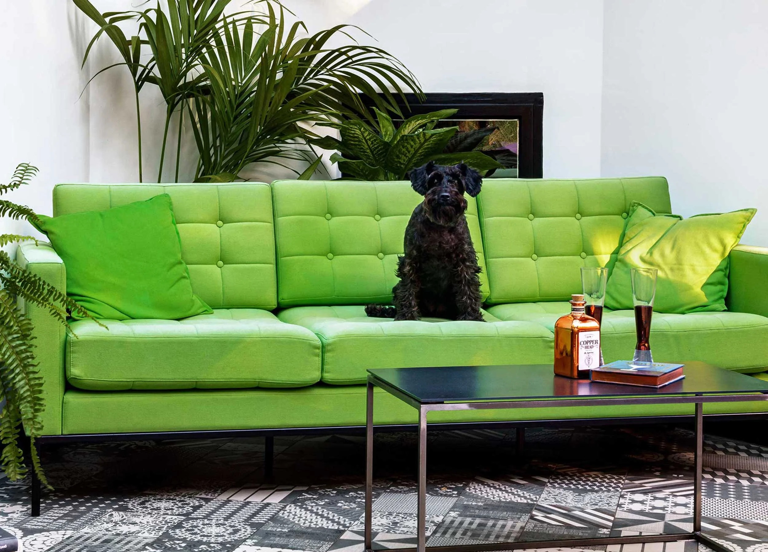 Lime Green Sofa Set | Cabinets Matttroy