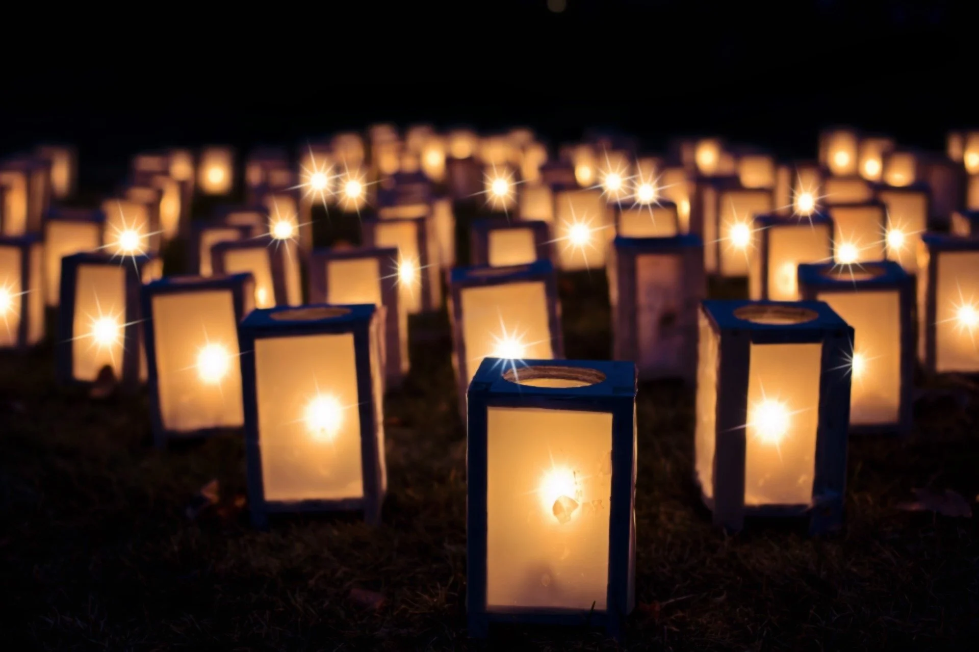 Advent Waiting: Clearing Space for New Life and Light