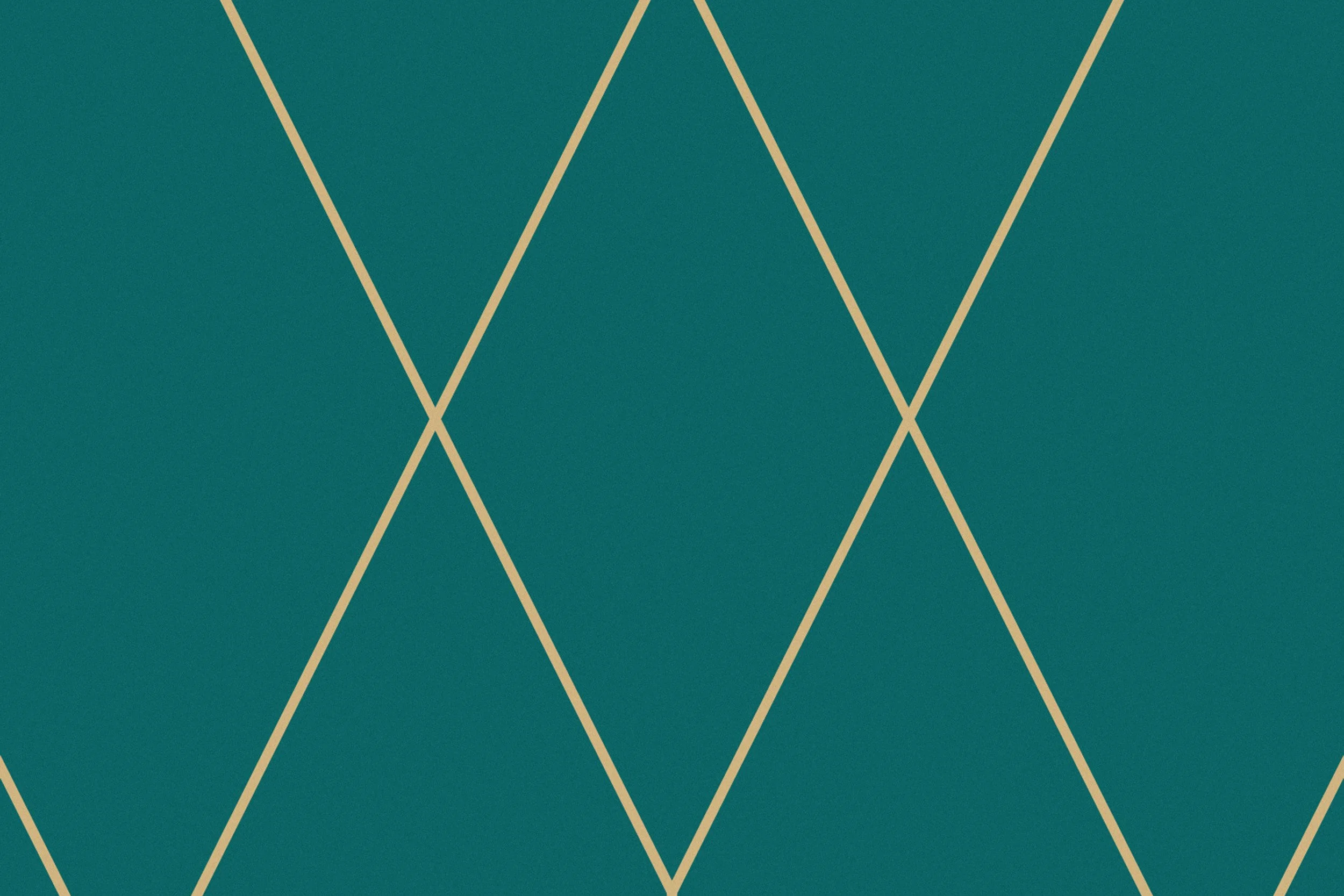 WYH_Folio_a.jpg