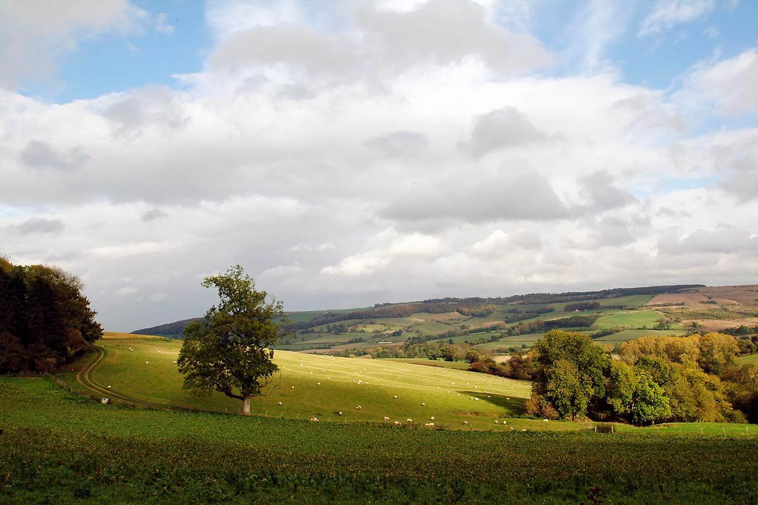 The Cotswolds     Tewkesbury Borough Council