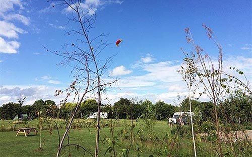 Court Farm Caravan and Camping