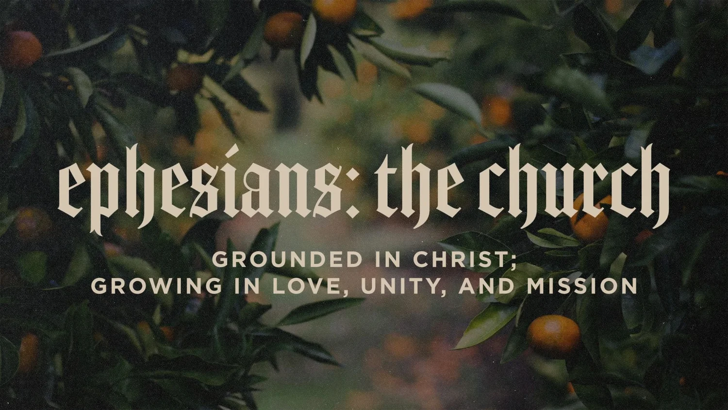 Rooted in Christ episode artwork