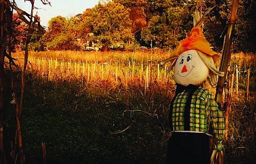 Photo courtesy of The Decker Farm A promotional shot of The Decker Farm during the fall months.