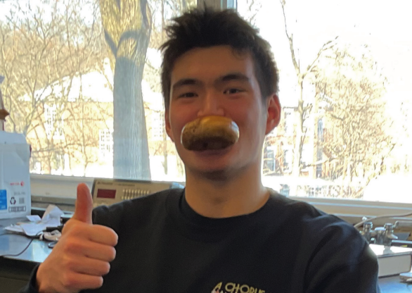 A Review of the New Absolute Bagels