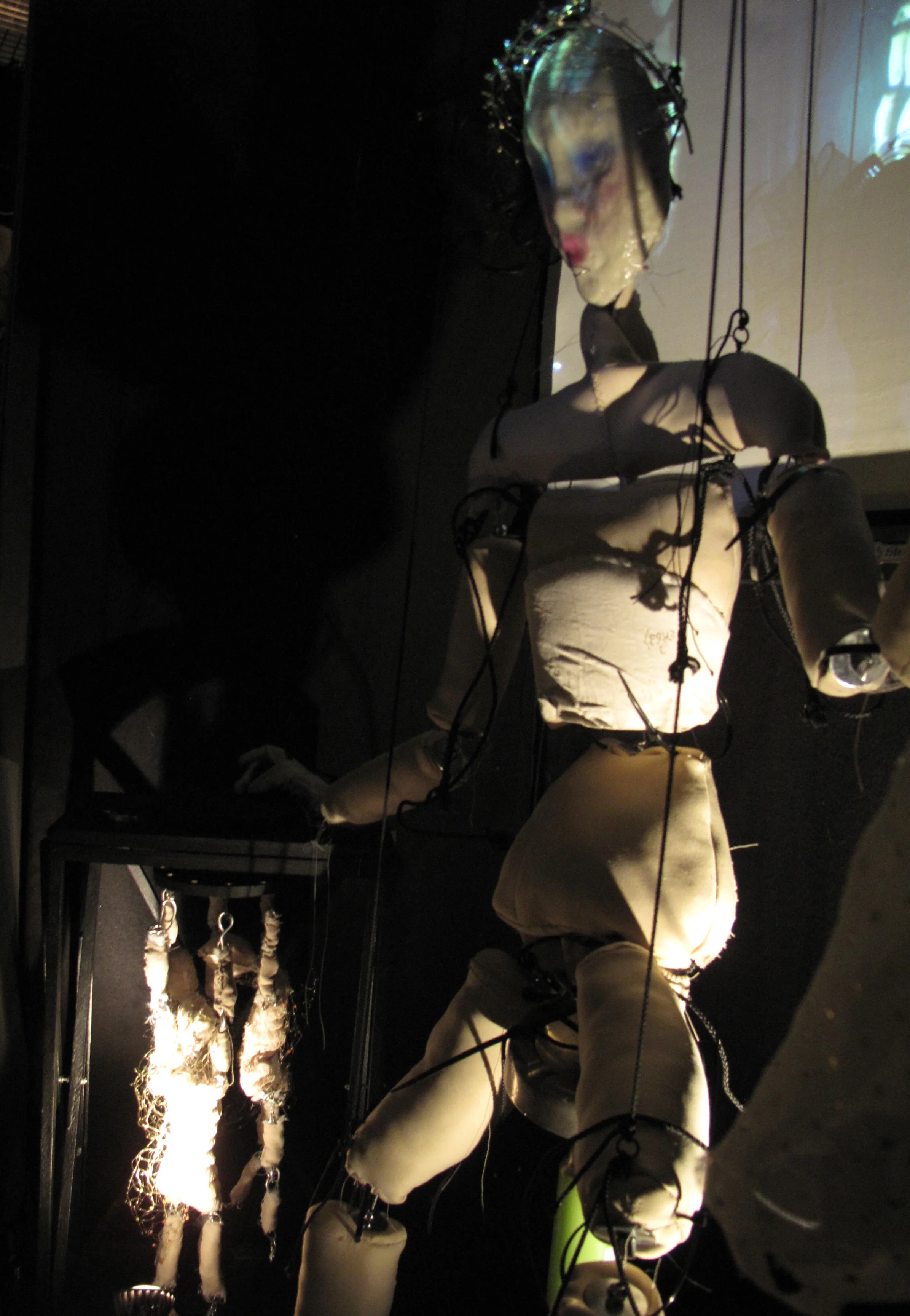 2_Patricia Brown_Cage 1.JPG