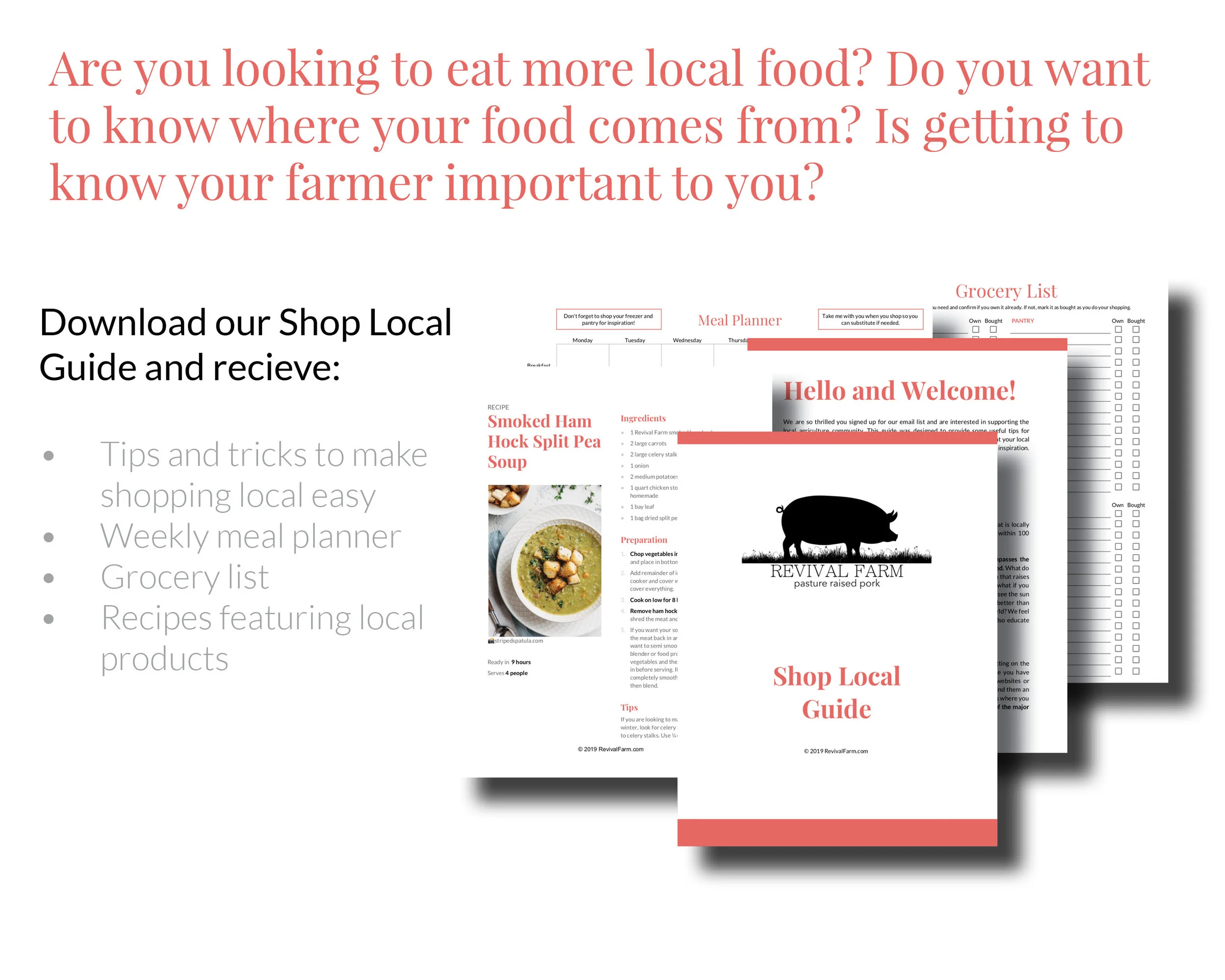 Website Banner.jpg