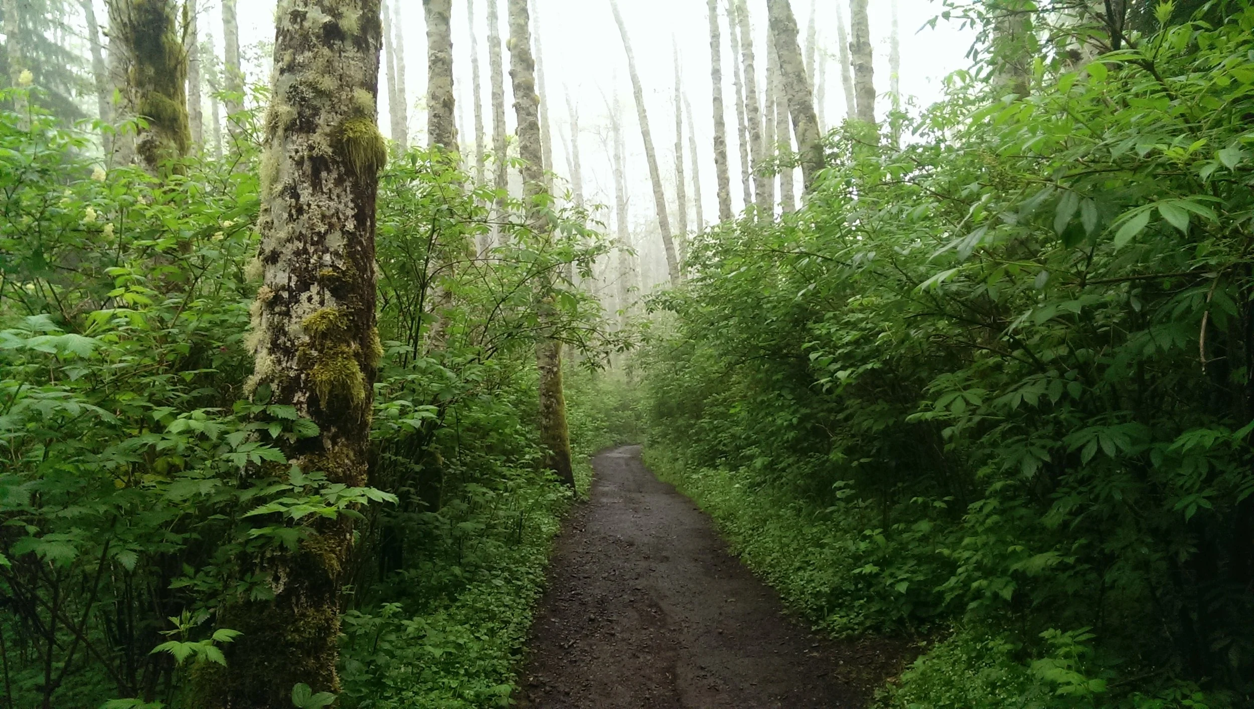 IMAG0759.jpg