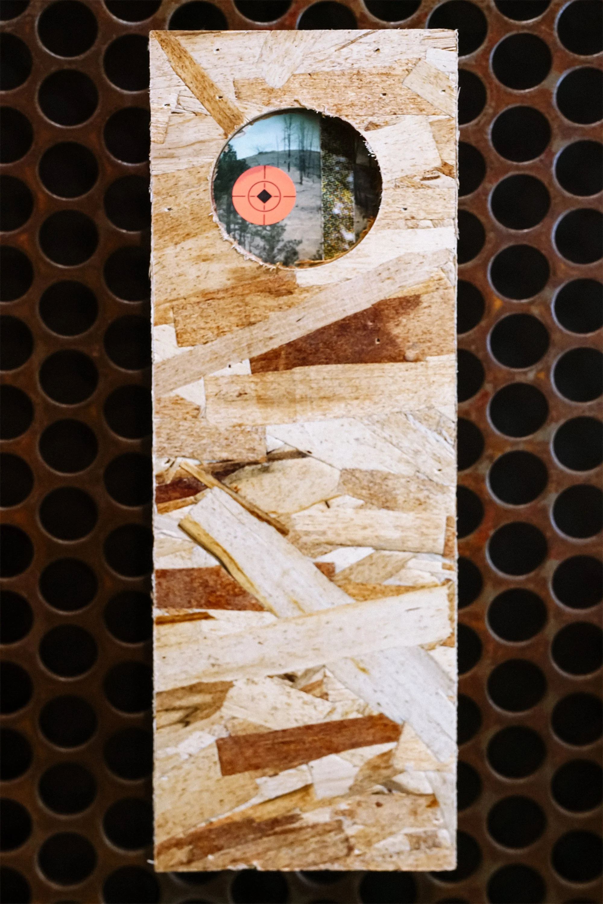 A wooden target with concentric circles and a black square in the center, placed in front of a circular hole in a wood surface, reflecting an outdoor scene.