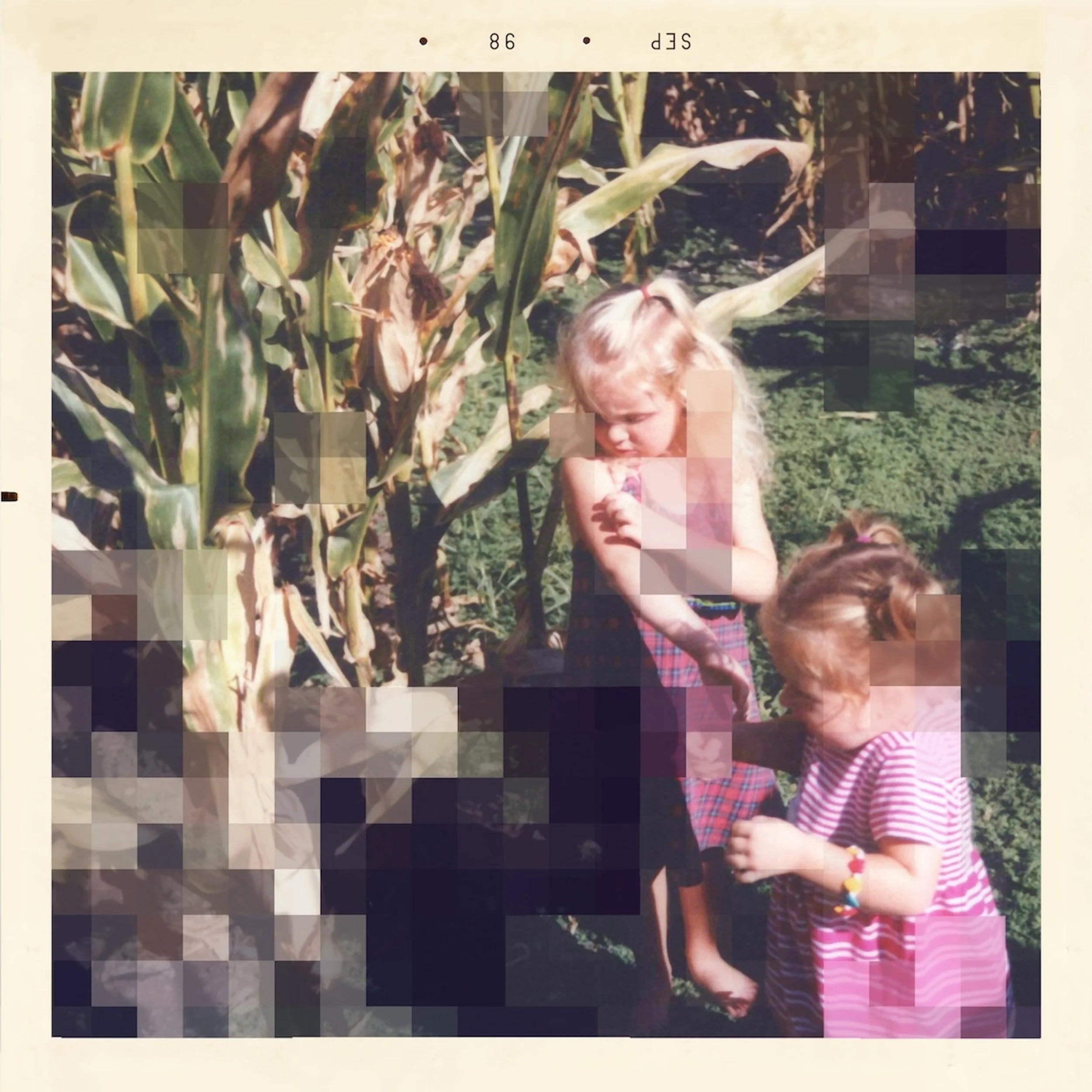 A young girl with blonde hair in a ponytail and wearing a striped pink and purple dress with beads, standing outdoors next to a field of tall corn plants.