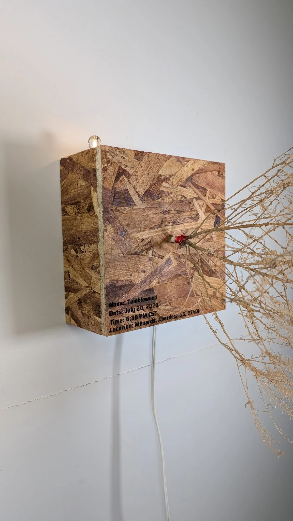 A wooden box with a dried plant inside, on which a label reads "Name: Tumbleweed, Date: July 20, 2026, Time: 6:36 PM CST, Location: Menards, Aberdeen SD, 57401." The background is a plain white wall.