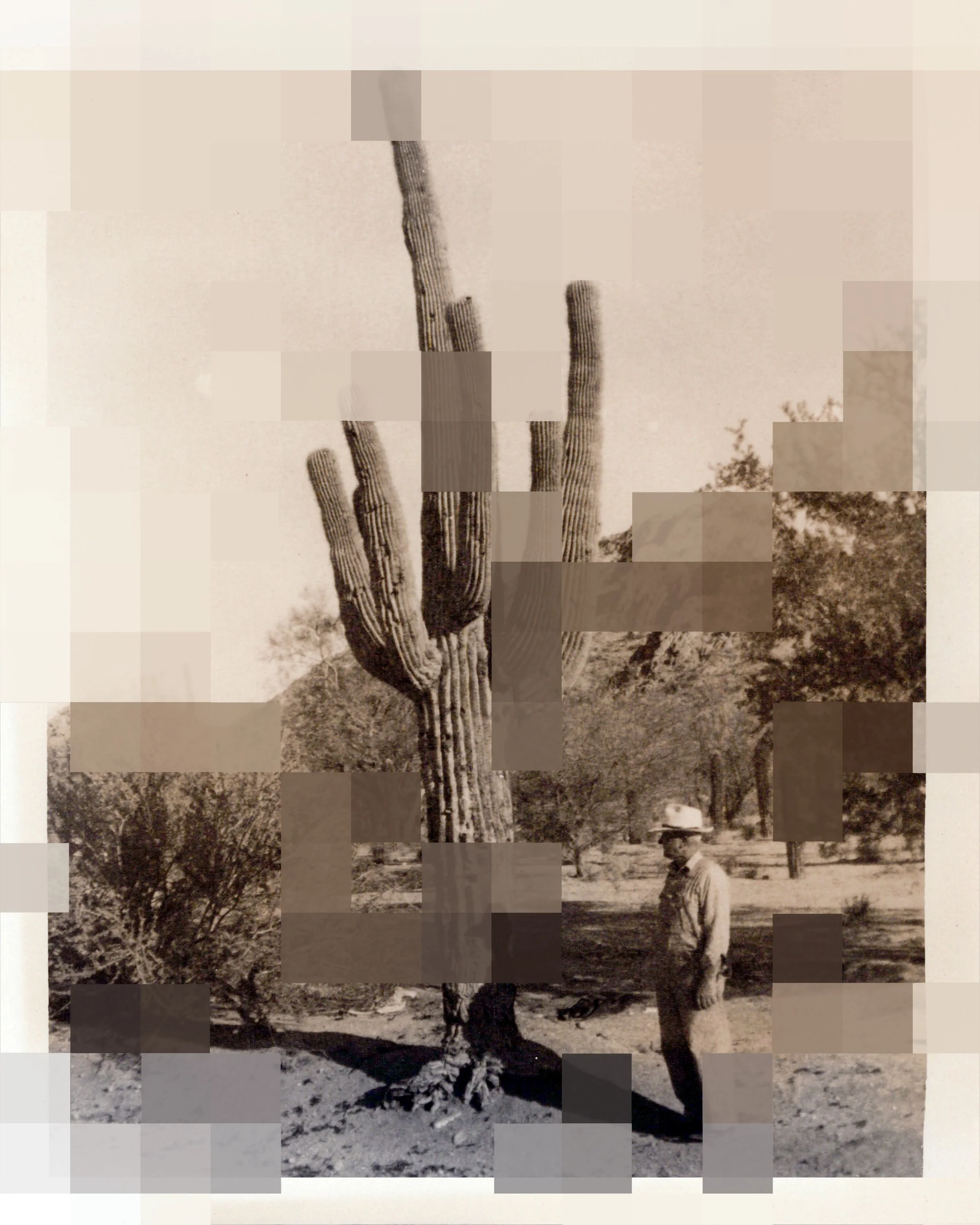 Black and white photograph of a desert scene with a tall saguaro cactus and a person walking nearby, wearing a hat and striped shirt.