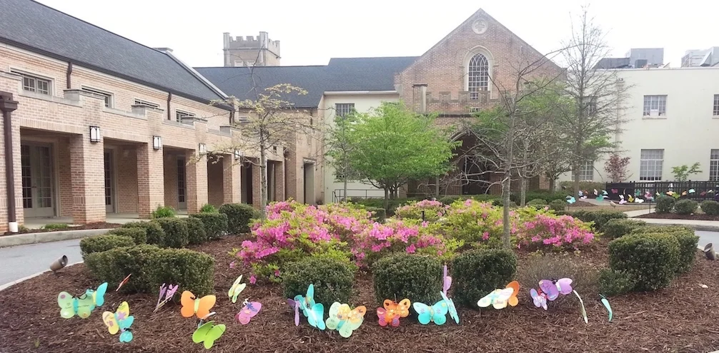 Butterflies at North Entrance KB.jpeg