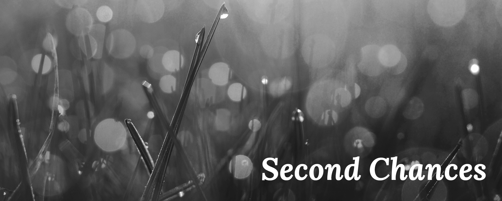EDA_FF_Connecting_Setup_5.01.png