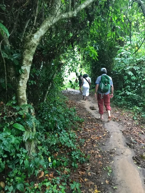 Walking sacred ground: The path to Assin Manso, to the river where captives were bathed before being sold.