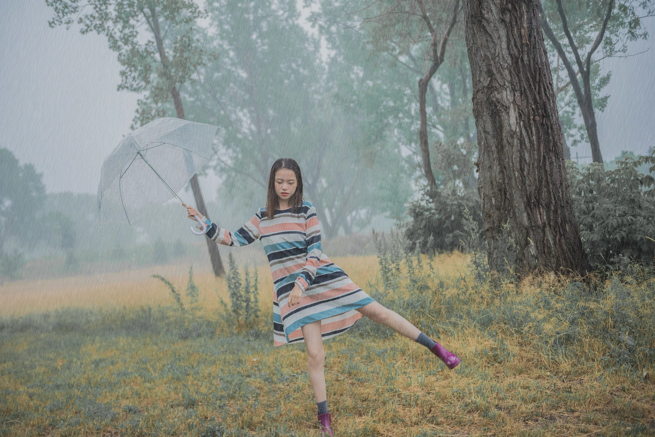 Rainy Day. Cloudy Day. 