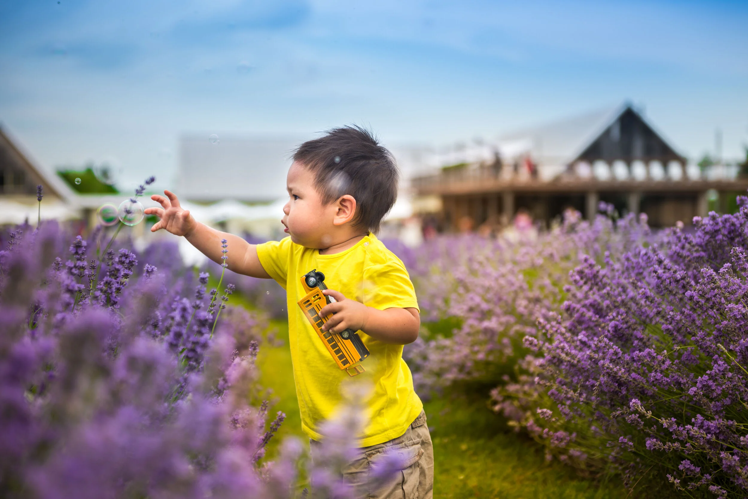 Andy's Second Lavender field trip