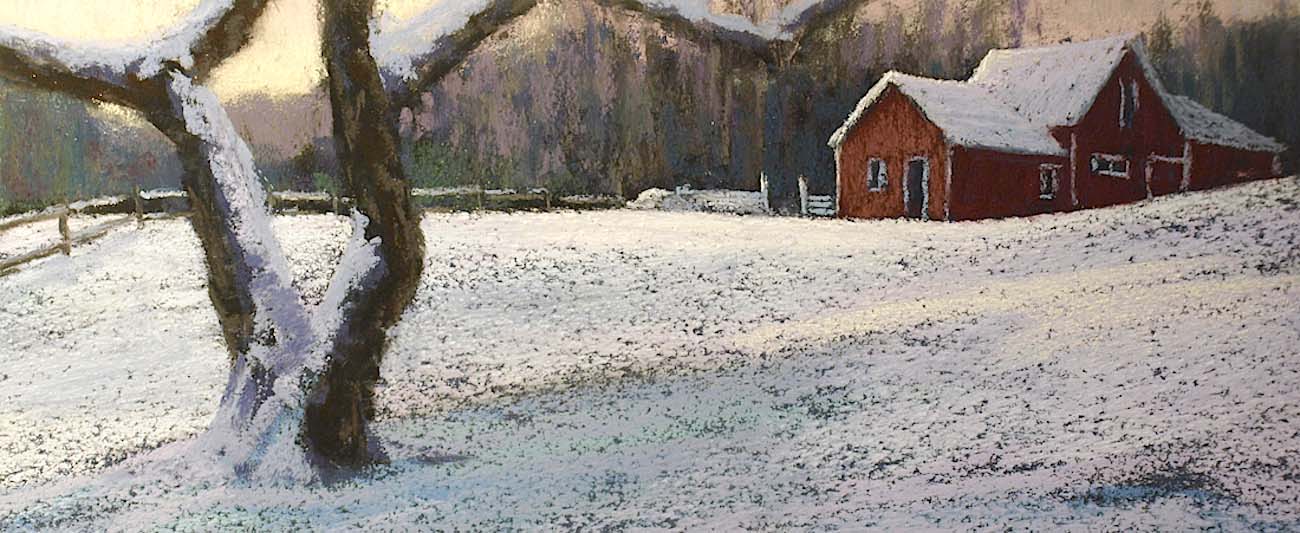 Apple Tree in Winter. Grafton, Vermont