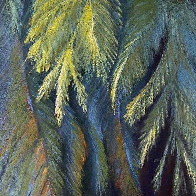 In the Rainforest Greens. Olympic peninsula , Washington. 8x8 pastel. Available unframed (work in process pic following). Green, mossy, spongy and so full of life...
.
.
larrygrobartist.com #theartofplace #contemporaryart #swissamericanartist #artist