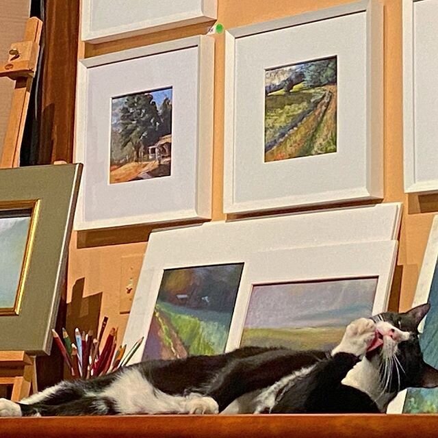 Bad review...this art show is going nowhere. Critic-cat gives it the big yawn. Serves me right, I guess. No more sneak peeks...
.
.
larrygrobartist.com #theartofplace #contemporaryart #swissamericanartist #artistsoninstagram #pastellandscape #pastels
