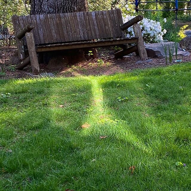 Treehenge never ceases to amaze. I think she, it, or whatever is coming closer...and shape shifting too. This is getting really interesting...
.
.
larrygrobartist.com #theartofplace #contemporaryart #swissamericanartist #artistsoninstagram #pastellan