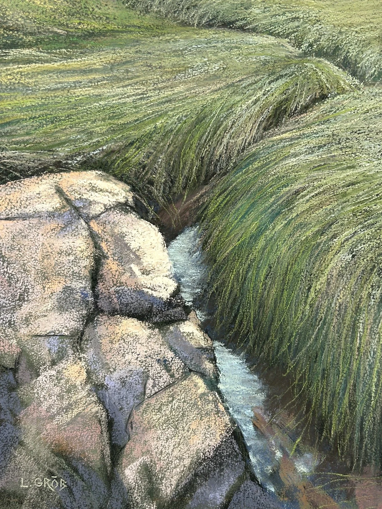 Marsh Grasses. Conomo Point, MA